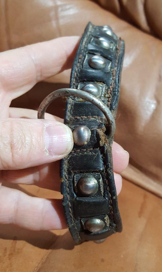 Image 2 of Vintage studded leather dog collar