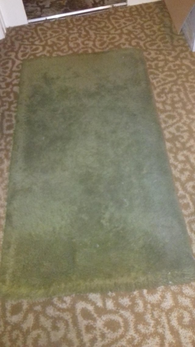 Preview of the first image of Thick green rug.