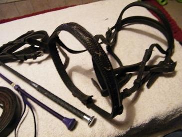 Preview of the first image of WHIPS, LEATHER BRIDLE AND HEAD COLLAR  (ONLY  PURPLE WHIP ).