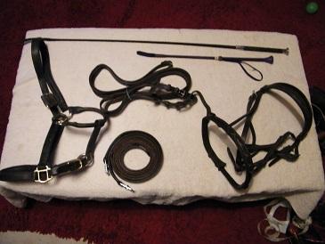 Image 2 of WHIPS, LEATHER BRIDLE AND HEAD COLLAR  (ONLY  PURPLE WHIP )