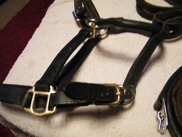 Image 3 of WHIPS, LEATHER BRIDLE AND HEAD COLLAR  (ONLY  PURPLE WHIP )