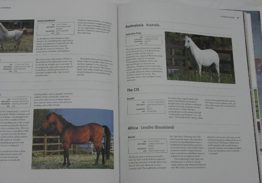 Image 2 of Encyclopaedia of the Horse – Elizabeth Peplow General Editor