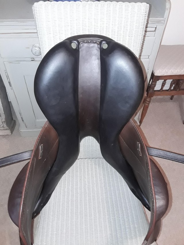 Preview of the first image of DEVOCOUX CHIBERTA JUMPING SADDLE.