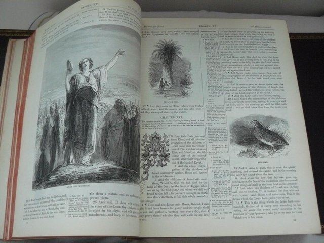 Image 11 of Cassell's Illustrated Family Bible c1880 Leather/brass bound