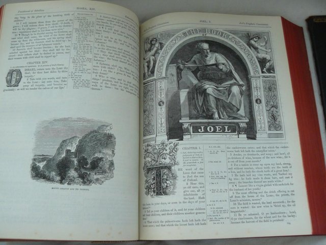 Image 15 of Cassell's Illustrated Family Bible c1880 Leather/brass bound