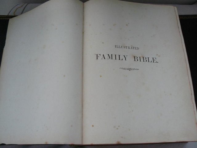 Image 18 of Cassell's Illustrated Family Bible c1880 Leather/brass bound