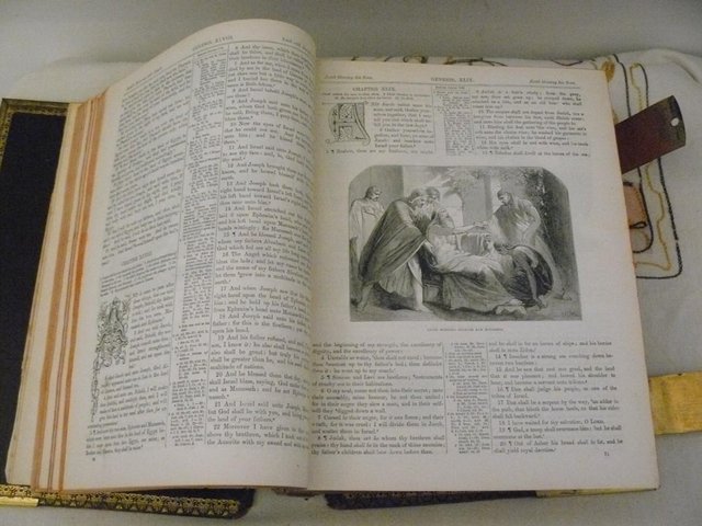 Image 19 of Cassell's Illustrated Family Bible c1880 Leather/brass bound