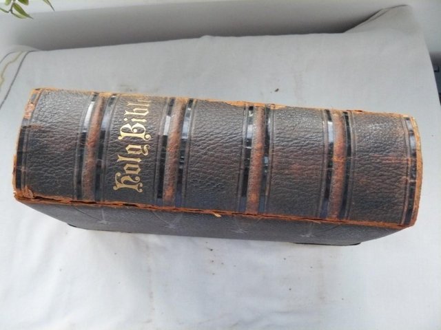 Image 20 of Cassell's Illustrated Family Bible c1880 Leather/brass bound