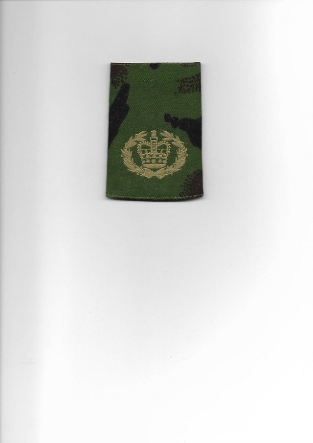 Preview of the first image of MILITARY: BRITISH ARMY RANK SLIDE.