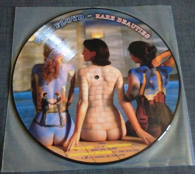 Preview of the first image of PINK FLOYD - RARE BEAUTIES VERY RARE 12" VINYL PICTURE DISC.