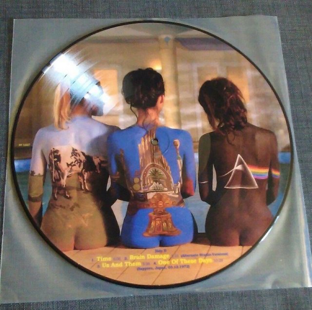 Image 2 of PINK FLOYD - RARE BEAUTIES VERY RARE 12" VINYL PICTURE DISC