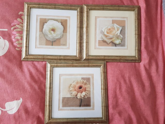 Preview of the first image of Set of Three Framed Flower Pictures.
