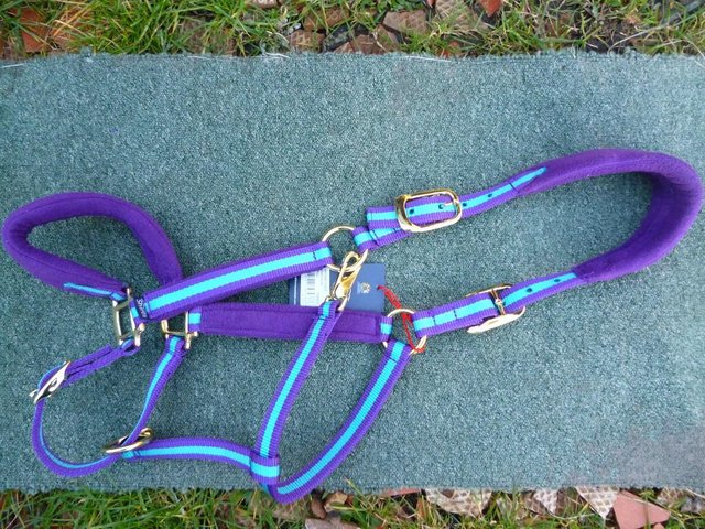 Preview of the first image of Comfort Fleece padded X/Full Headcollar.