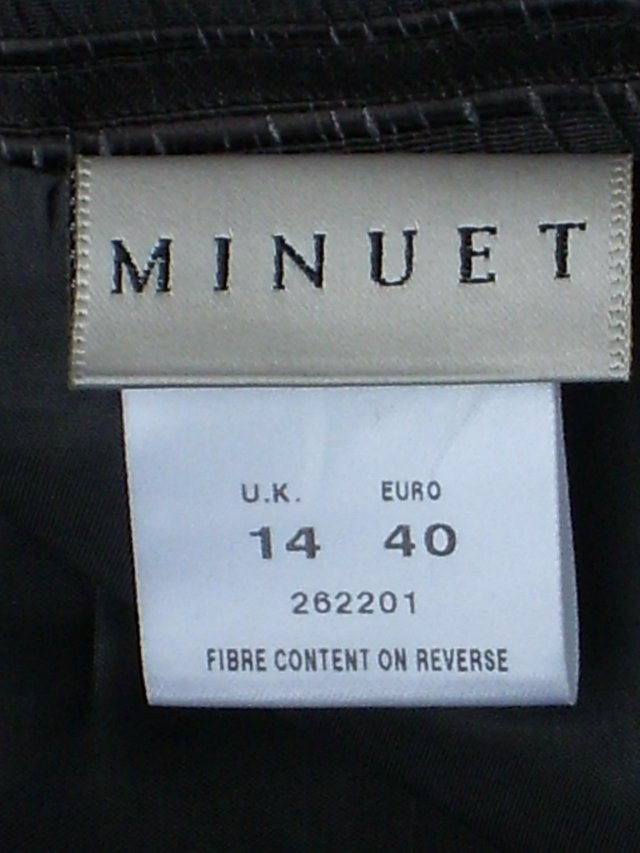 Image 4 of MINUET Skirt With Pleat Back Detail  – Size 14
