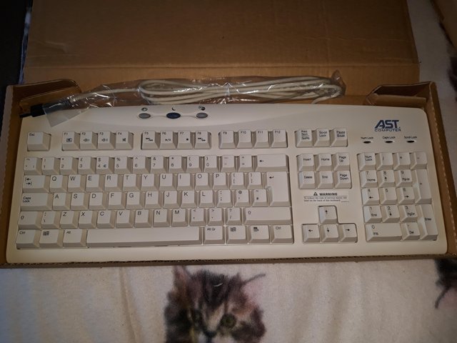 Preview of the first image of New usb keyboard X2 £10 each.