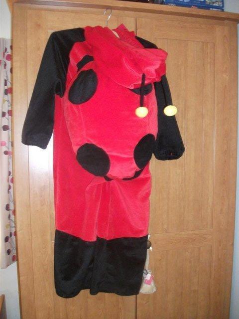 Preview of the first image of KIDS LADYBIRD FANCY DRESS.