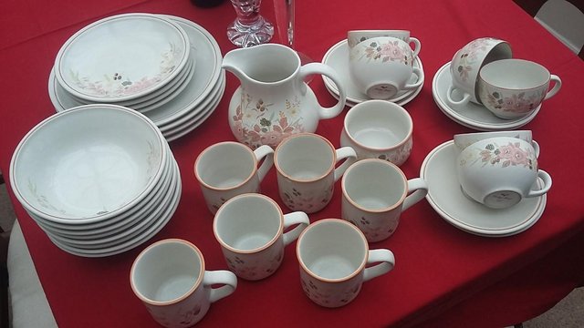 Preview of the first image of Hedge Rose 54 Piece Dinner & Tea Set.