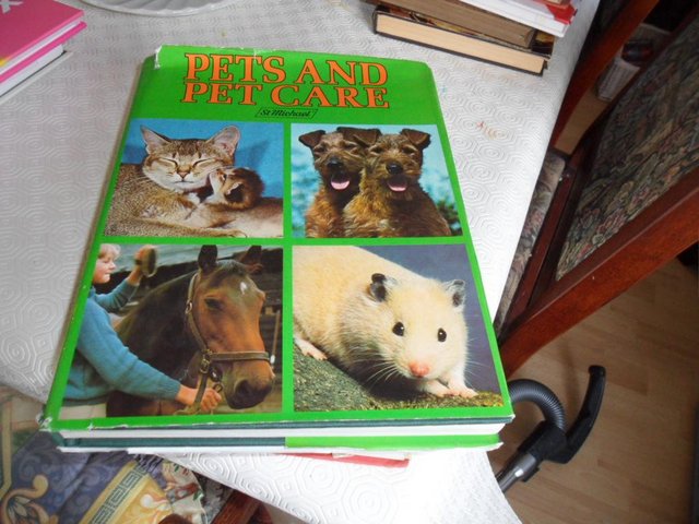 Preview of the first image of Pets and Pet Care Book.