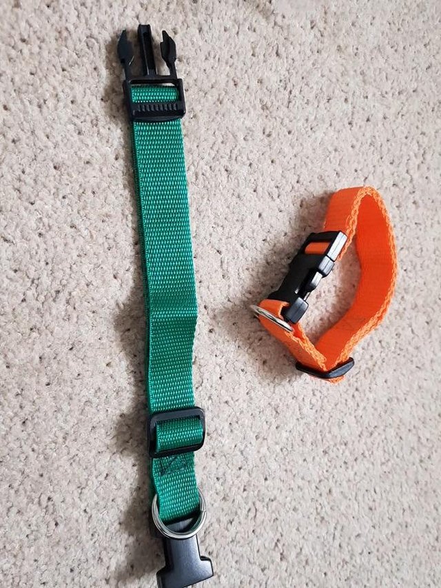Image 2 of Puppy/Kitten/Cat collars Fit up to a 37cm circumference neck