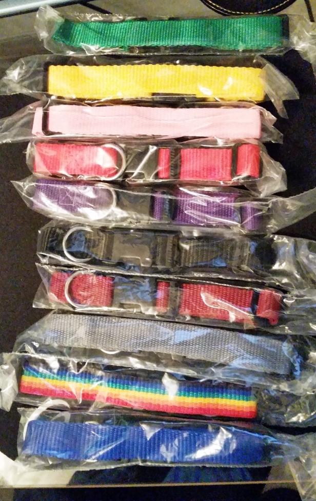 Image 3 of Puppy/Kitten/Cat collars Fit up to a 37cm circumference neck