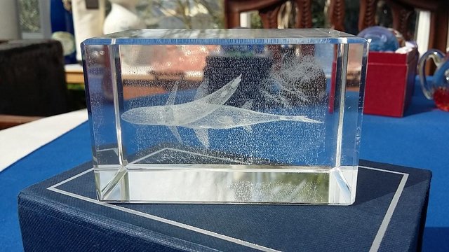 Image 3 of 3D Laser Etched Sharks Rectangular Glass Paperweight - boxed