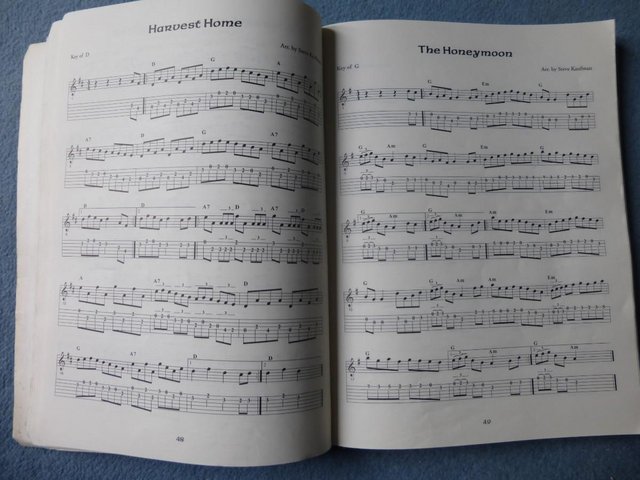 Image 2 of Steve Kaufman's Encyclopedia of Celtic Tunes for flatpicking