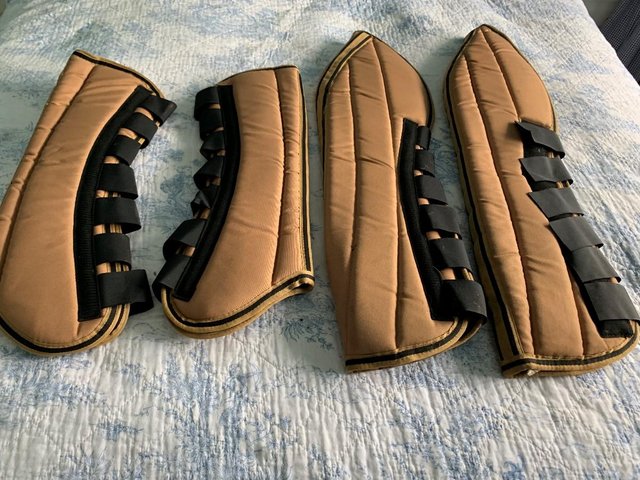 Preview of the first image of Lovely travel boots includes poll protector and tail guard.