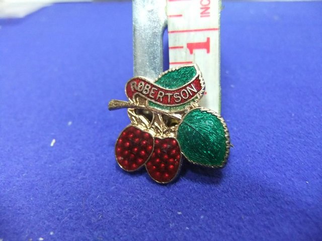 Preview of the first image of robertsons jam preserves badge brooch 1950s raspberry.