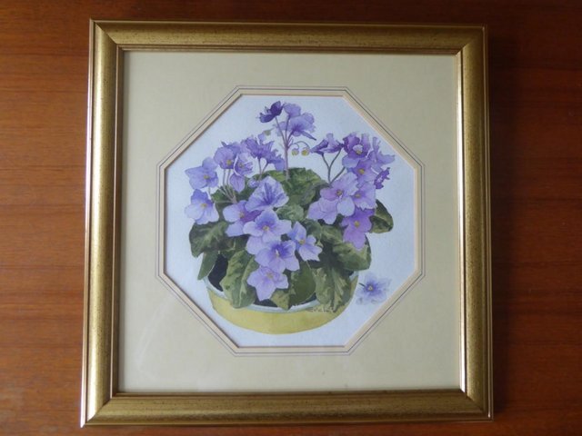 Preview of the first image of Original Painting 'African Violet'Eric Leighton, Sheffield.