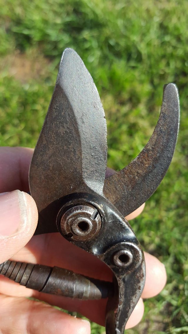 Preview of the first image of Vintage Garden Secateurs.