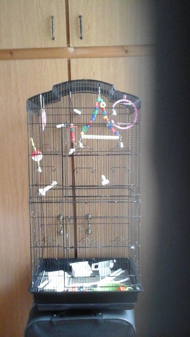 Image 2 of birdcage for sale