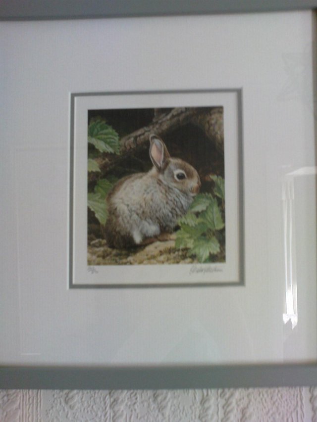 Image 3 of Andrew Hutchinson Young Rabbit Limited Edition Print