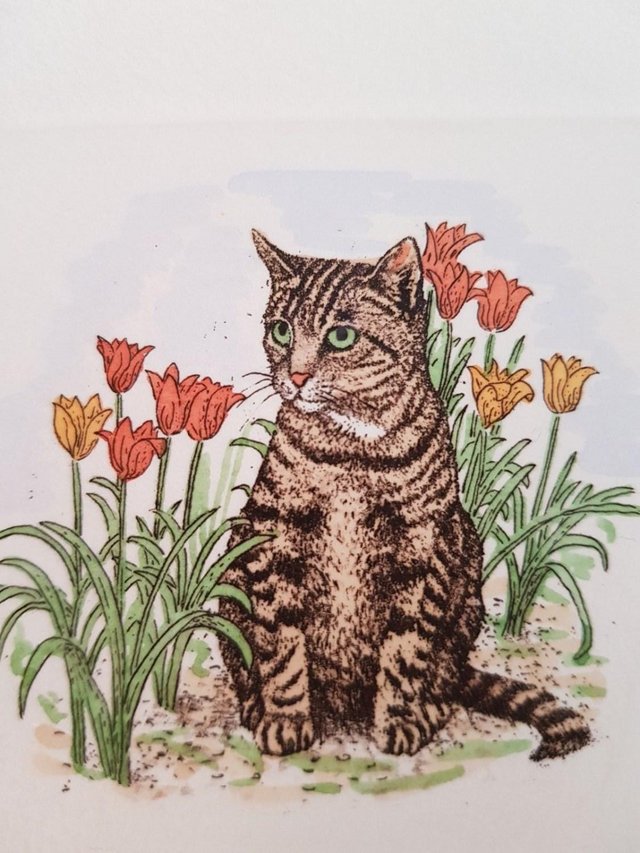 Preview of the first image of Laura Boyd Signed & Framed Limited Edition Print Tabby Cat.