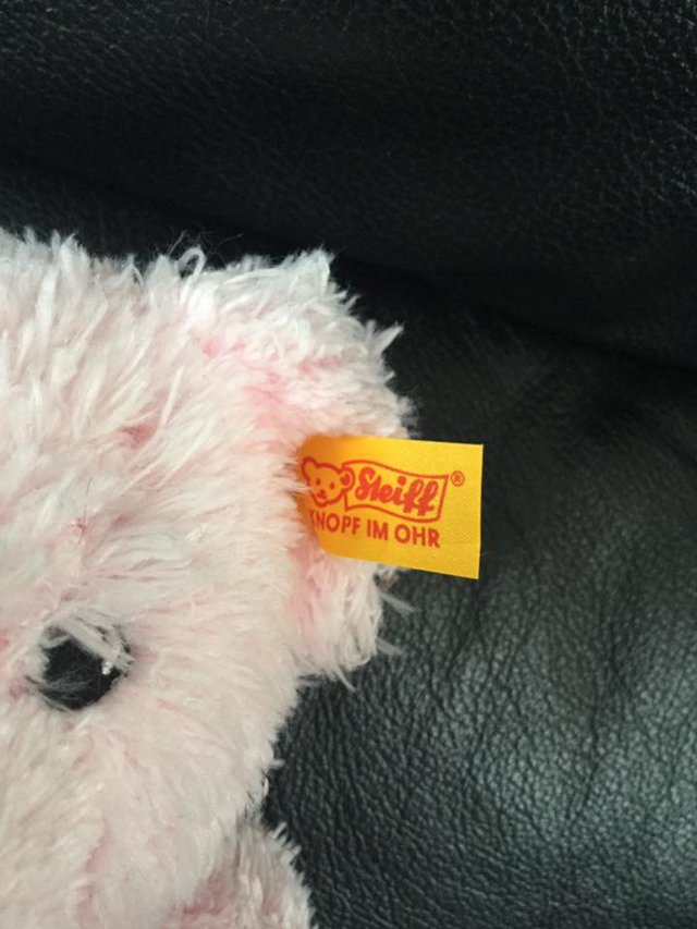 Preview of the first image of Steiff Bear.