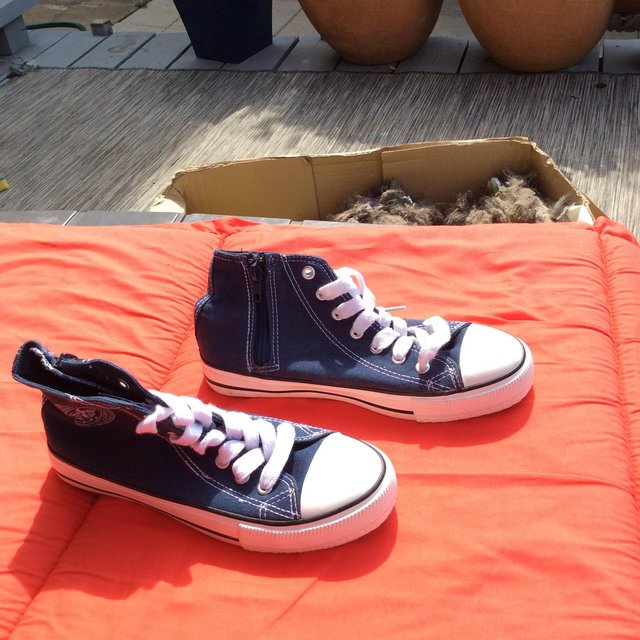 Image 3 of Blue Canvass trainers like converse size 4(37) unisex
