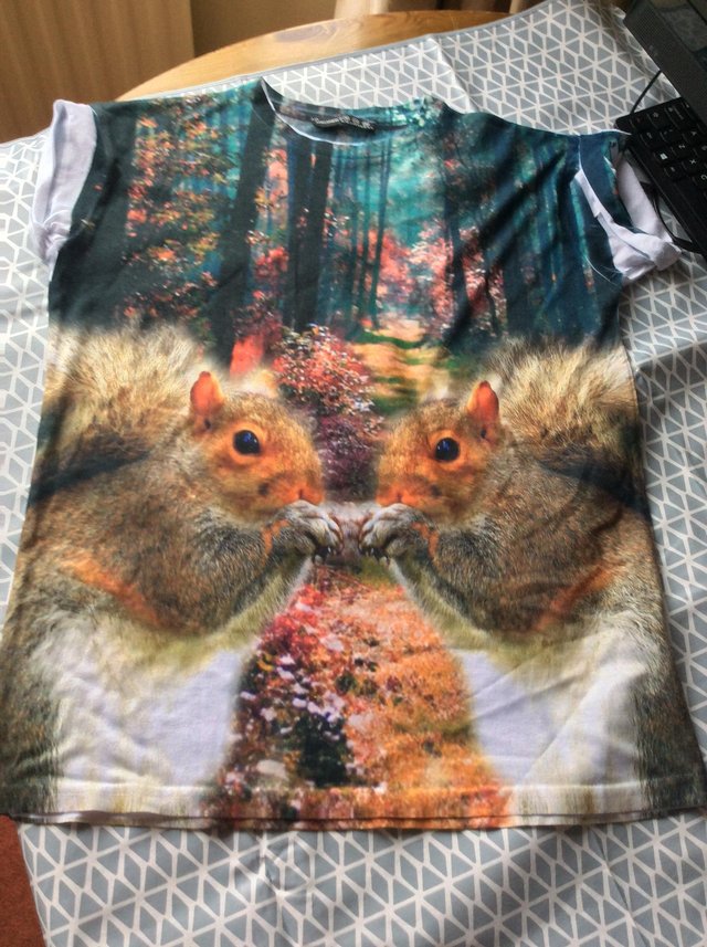 Preview of the first image of Ladies or teenager squirrel t-shirt size 12.
