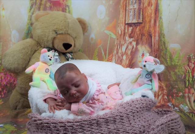 Image 2 of Reduced price Reborn baby girl dollfor sale