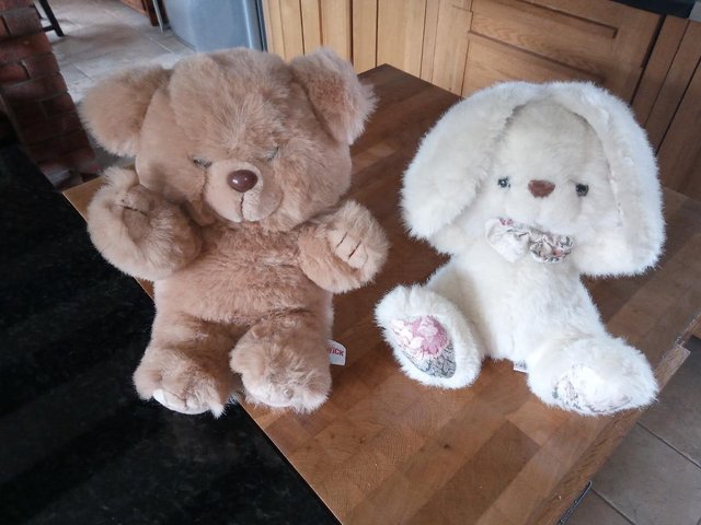 Image 3 of Cuddly Teddy and Rabbit