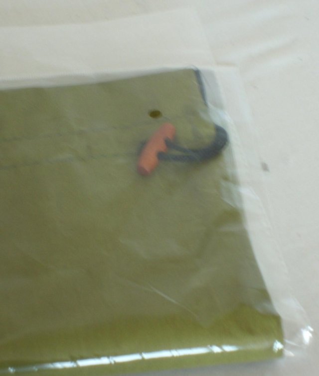 Image 4 of Olive Green Satin Shoe Bag NEW!