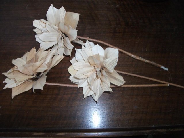 Image 2 of DRIED FLOWERS