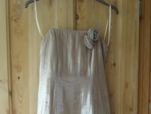 Image 2 of DEBUT Muted Gold Evening Dress - Size 10 NEW!