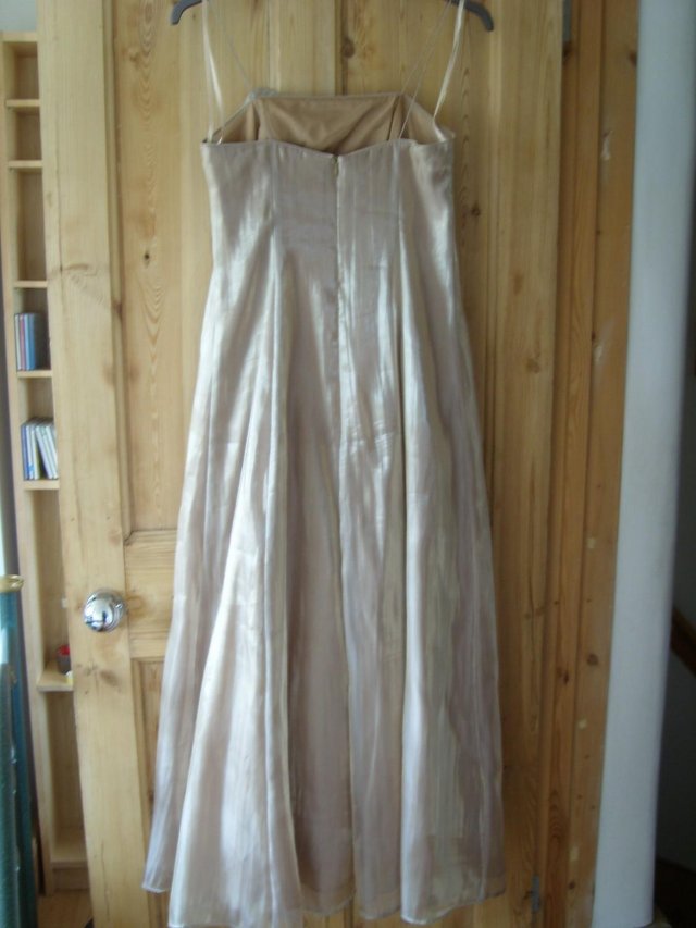 Image 3 of DEBUT Muted Gold Evening Dress - Size 10 NEW!