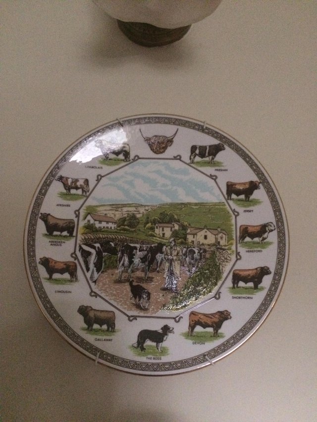 Preview of the first image of THE CATTLE PLATE.