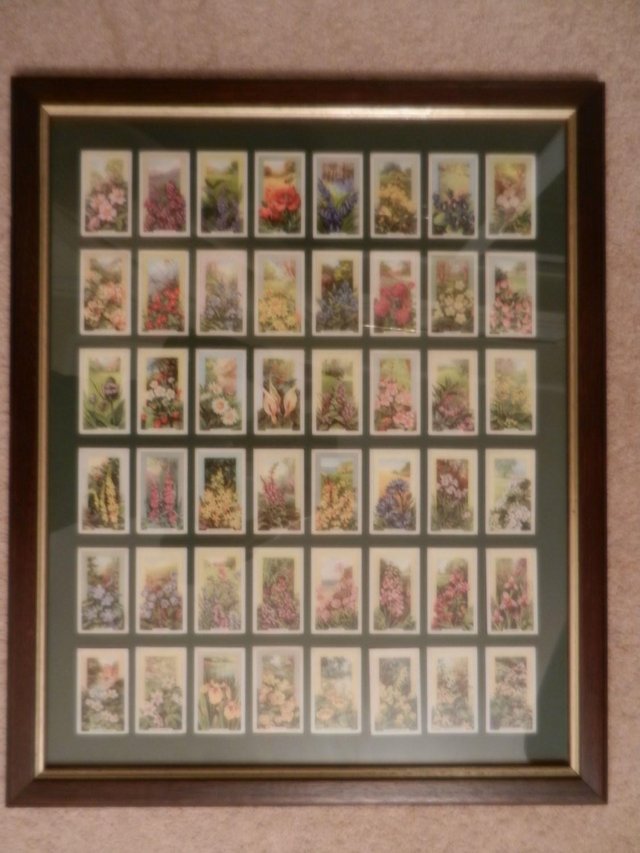 Preview of the first image of FRAMED SET OF DETAILED COLLECTORS CARDS.