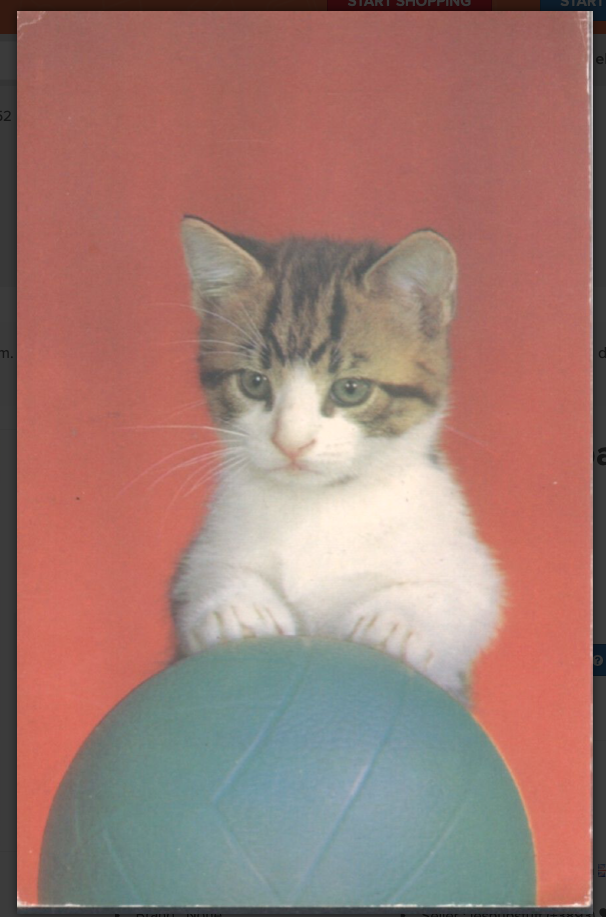 Preview of the first image of Vintage PC - 'Let's Play' - Footballing Kitten.