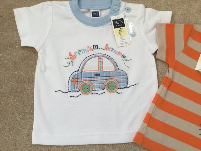 Image 2 of Two BNWT t-shirts 3-6 mths
