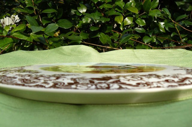 Image 2 of Spode, Woodland series, Cake / Gateaux serving plate. Unused