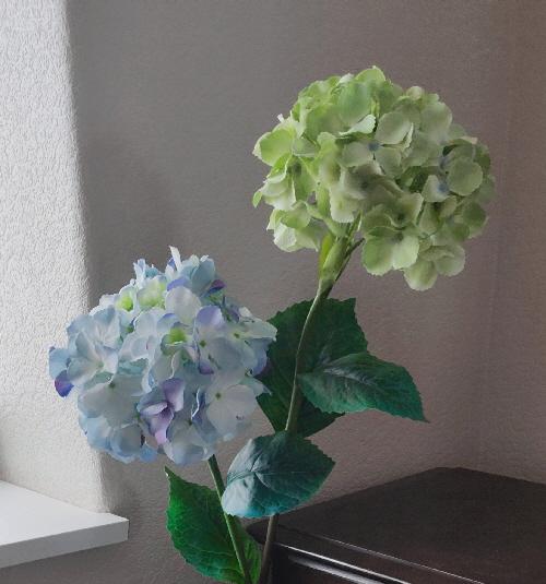 Preview of the first image of Two Lovely Tall Hydrangea Flower Stems.