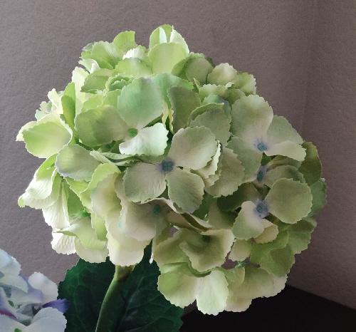 Image 3 of Two Lovely Tall Hydrangea Flower Stems