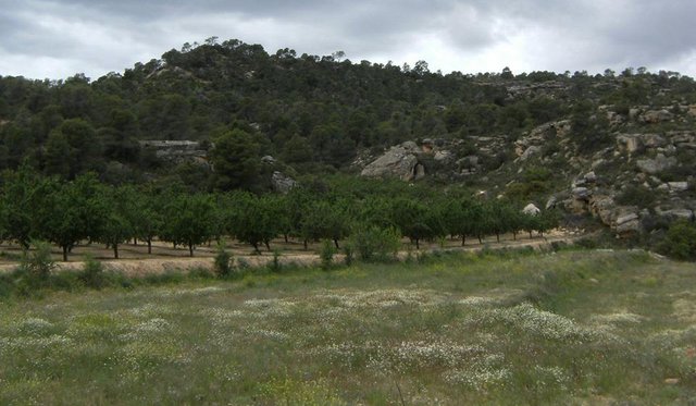 Preview of the first image of 11,600m2 of open land-ARAGON SPAIN.
